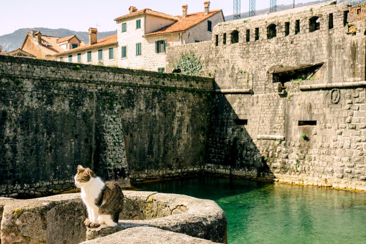 D & Sons Apartments Kotor Dış mekan fotoğraf